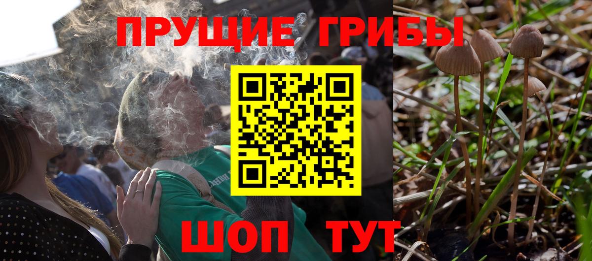 Псилоцибиновые грибы Magic Shrooms Киржач