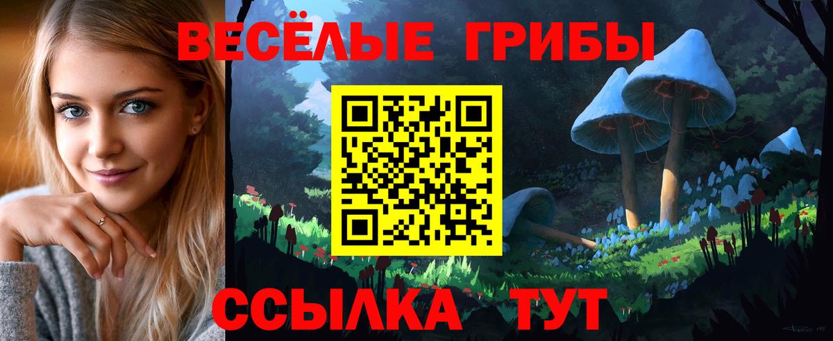 Киржач  Псилоцибиновые грибы мухоморы  Вход с VPN  купить закладку  Галлюциногенные грибы Magic Shrooms 